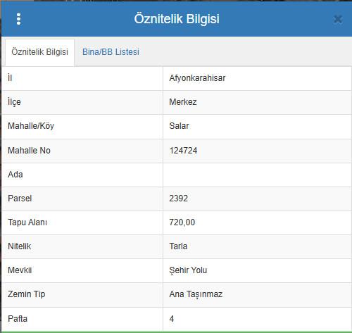 Plaza'dan Salar'da Yolu ve Elektriği Olan Köşe Fırsat Bahçe - Resim 2